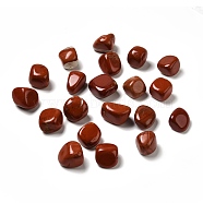 Natural Red Jasper Beads, No Hole, Nuggets, Tumbled Stone, Healing Stones for 7 Chakras Balancing, Crystal Therapy, Meditation, Reiki, Vase Filler Gems, 16~33x16~33x10~25mm(G-F718-03)