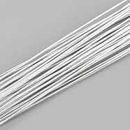 Iron Wire, WhiteSmoke, 24 Gauge, 0.5mm, about 1.96 Feet(60cm)/strand, 50strand/bag(X-MW-S002-02F-0.5mm)