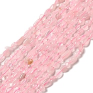 Natural Rose Quartz Beads Strands, Nuggets, 7~14x4~8x4~7mm, Hole: 1mm, about 44~50pcs/strand, 38.5~39.5cm(G-I351-A05)
