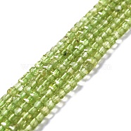 Natural Peridot Beads Strands, Faceted, Cube, 2.5x2.5x2.5mm, Hole: 0.7mm, about 170pcs/strand, 15.35''(39cm)(G-D467-A11)