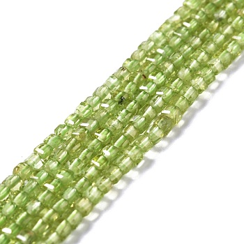 Natural Peridot Beads Strands, Faceted, Cube, 2.5x2.5x2.5mm, Hole: 0.7mm, about 170pcs/strand, 15.35''(39cm)