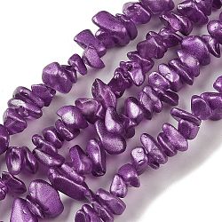 Electroplate Glass Beads Strands, Chip, Dark Orchid, 2.5~6.5x3~10x4~12.5mm, Hole: 1mm, 33.86''(86cm)(GLAA-P062-B06)