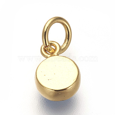 Brass Enamel Charms(ZIRC-E152-28G-RS)-2