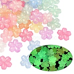 50Pcs Luminous Transparent Acrylic Beads, Flower, with Glitter Powder, Glow in the Dark, Mixed Color, 22x23x8mm, Hole: 3mm(LACR-YW0001-08)