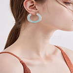 1 Pair Stylish Stainless Steel Fever Hoop Earrings, with Thick Circle Design, Pale Green, 43x41.5x7.5mm(EJEW-LP0011-05B)