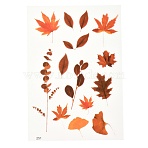 Waterproof Plastic Self Adhesive Stickers, Plant Pattern, Leaf Pattern, 15x10.5x0.01cm(DIY-F064-13B)
