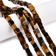 Natural Tiger Eye Beads Strands, Cube, 6~7x6~6.5x6~6.5mm, Hole: 1mm, about 60~61pcs/strand, 15~15.366''(38.1~39cm)(G-T139-6x6-29A)