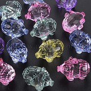 Transparent Acrylic Pendants, Faceted, Pig, Mixed Color, 27x38x22.5mm, Hole: 1.8mm, about 43pcs/500g(MACR-S373-77-B)