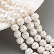 Natural Cultured Freshwater Pearl Beads Strands, Potato, Beige, 7~8mm, Hole: 0.6mm, about 26pcs/strand, 6.69 inch(17cm)(PEAR-C003-09C)