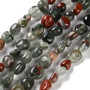 Natural African Bloodstone Beads Strands, Nuggets, Tumbled Stone, 4.5~11.5x3~7x3.5~6mm, Hole: 1~1.2mm, about 48~68pcs/strand, 15.35~15.94''(39~40.5cm)(G-P497-01C-22)