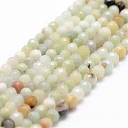 Natural Flower Amazonite Beads Strands, Faceted, Round, 4~4.5mm, Hole: 0.8mm, about 86~96pcs/strand, 14.9 inch~15.1 inch(G-D840-24-4mm)