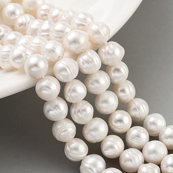 Natural Cultured Freshwater Pearl Beads Strands, Potato, Beige, 7~8mm, Hole: 0.6mm, about 26pcs/strand, 6.69 inch(17cm)