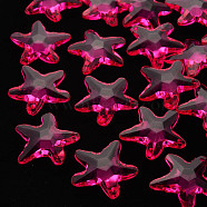 Transparent Acrylic Beads, Star, Camellia, 28.5x29.5x7.5mm, Hole: 1.8mm, about 189pcs/500g(TACR-S154-58B-906)