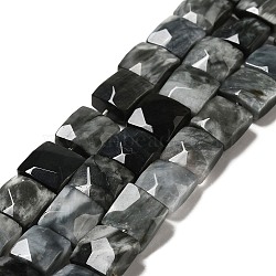 Natural Eagle Eye Stone Beads Strands, Faceted, Square, 10x10x6mm, Hole: 0.9~1mm, about 19~20pcs/strand, 7.09~7.48 inch(18~19cm)(G-G980-12)