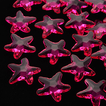 Transparent Acrylic Beads, Star, Camellia, 28.5x29.5x7.5mm, Hole: 1.8mm, about 189pcs/500g