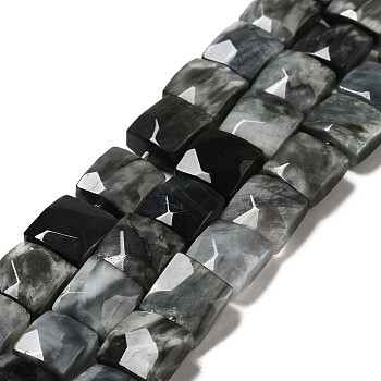 Natural Eagle Eye Stone Beads Strands, Faceted, Square, 10x10x6mm, Hole: 0.9~1mm, about 19~20pcs/strand, 7.09~7.48 inch(18~19cm)