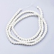Glass Pearl Beads Strands(HY-6D-B02)-2