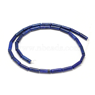 Natural Lapis Lazuli Column Bead Strands, Dyed, 13~14x4~5mm, Hole: 1mm, about 28pcs/strand, 15.7 inch(G-F247-13)