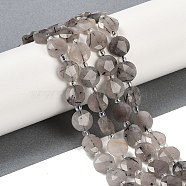 Natural Tourmalinated Quartz Beads Strands, Faceted Pentagonal Cut, Flat Round, with Seed Beads, 10~10.5x5~6mm, Hole: 1mm, about 32~33pcs/strand, 15.75''(40cm)(G-C116-A62-01)