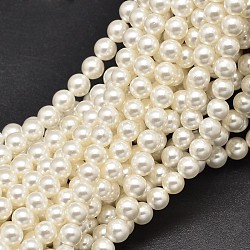 Round Shell Pearl Bead Strands, Polished, 8mm, Hole: 1mm, about 50pcs/strand, 15.7 inch(X-BSHE-M011-03)