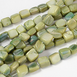 Natural Shell Beads Strands, Cube, Dyed, Lawn Green, about 6mm long, 6mm wide, 6mm thick, hole: about 1mm, about 68pcs/strand, 16 inch(X-PBB073Y)