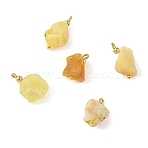 Raw Rough Natural Yellow Opal Pendants, Nuggets Charms, Golden, Golden, 13.5~18x8~11x6~7.5mm, Hole: 1.6mm(PALLOY-JF05930)