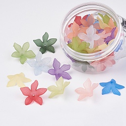 Transparent Acrylic Beads, Flower, Frosted, Dyed, Mixed Color, 27x8mm, Hole: 1.5mm, about 38~40pcs/box(TACR-JP0001-07)