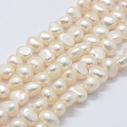 Natural Cultured Freshwater Pearl Beads Strands, Dyed, Two Sides Polished, Old Lace, 5~7x5~7x5~7mm, Hole: 0.2mm, about 53pcs/strand, 13.9 inch(PEAR-K004-13C-01)