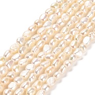 Natural Cultured Freshwater Pearl Beads Strands, Two Sides Polished, Grade 4A, Linen, 3~4x4.5~5mm, Hole: 0.5mm, about 70pcs/strand, 14.17''~14.57''(36~37cm)(PEAR-E016-104)