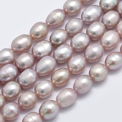 Natural Cultured Freshwater Pearl Beads Strands, Oval, Dark Orchid, 7~8x6~7mm, Hole: 0.8mm, about 51pcs/strand, 14.8 inch(37.5cm)(PEAR-F007-71B)