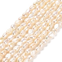 Natural Cultured Freshwater Pearl Beads Strands, Two Sides Polished, Grade 4A, Linen, 3~4x4.5~5mm, Hole: 0.5mm, about 70pcs/strand, 14.17''~14.57''(36~37cm)(PEAR-E016-104)