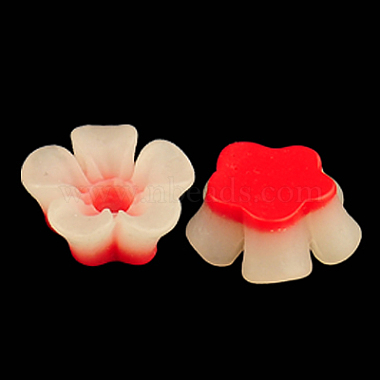 Harz Cabochons(X-RB773Y)-2
