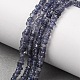 Natural Iolite Beads Strands(G-K427-C01-01)-1