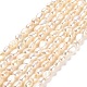 Natural Cultured Freshwater Pearl Beads Strands(PEAR-E016-104)-1