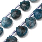 Natural Apatite Beads Strands, Faceted Teardrop, with Plastic Tube Beads, 12x12~12.5x5.5~6mm, Hole: 1mm, about 28pcs/strand, 15.75 inch(40cm)(G-C292-A06-01)