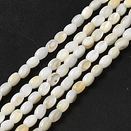Natural Freshwater Shell Beads Strand, Oval, Beige, 4x3mm, Hole: 0.9mm, about 96~98pcs/strand, 15.24~15.43''(38.7~39.2cm)(BSHE-E026-16A)
