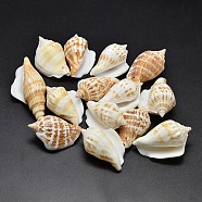 Natural Conch Shell Beads, Goldenrod, 40~65x20~25mm, Hole: 1~2mm(X-BSHE-O007-57)