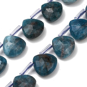 Natural Apatite Beads Strands, Faceted Teardrop, with Plastic Tube Beads, 12x12~12.5x5.5~6mm, Hole: 1mm, about 28pcs/strand, 15.75 inch(40cm)
