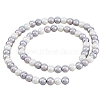 1 Strand Glass Pearl Beads Strands, Pearlized, Round, Light Grey, 6.5x6mm, Hole: 0.9mm, about 68pcs/strand, 15.59~15.83 inch(39.6~40.2cm)(HY-HS0001-01B)