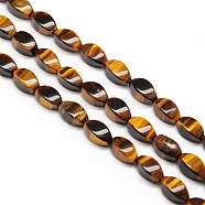 Natural Twist Tiger Eye Beads Strands, 12x6x6mm, Hole: 1mm, about 33pcs/strand, 15.74 inch(G-L243B-04)
