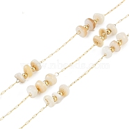 Ion Plating(IP) 316 Surgical Stainless Steel Paperclip Chains, with Natural Shell Beads, Flat Round, Real 18K Gold Plated, Unwelded, Old Lace, 1.5x0.5x0.1mm(CHS-P020-01G-03)