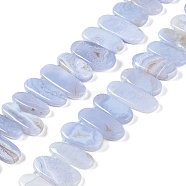 Natural Blue Lace Agate Beads Strands, Nuggets, Top Drilled, 14~32x7~15x2~6mm, Hole: 1mm, about 33pcs/strand, 16.14~16.54''(41~42cm)(G-H006-B01-02)