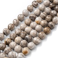 Natural Silver Leaf Jasper Beads Strands, Round, 8~8.4mm, Hole: 1mm, about 68pcs/strand, 15.94 inch(40.5cm)(G-E444-35A-8mm)