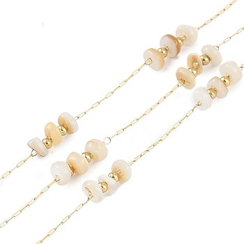 Ion Plating(IP) 316 Surgical Stainless Steel Paperclip Chains, with Natural Shell Beads, Flat Round, Real 18K Gold Plated, Unwelded, Old Lace, 1.5x0.5x0.1mm