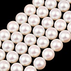 Electroplated Shell Pearl Beads Strands, Smooth Round, Misty Rose, 10mm, Hole: 1mm, about 39pcs/strand, 15.87 inch(40.3cm)(BSHE-C011-01C)