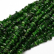 Natural Diopside Chip Beads Strands, 5~14x4~10mm, Hole: 1mm, about 15.5 inch~16.1 inch(X-G-E271-94)