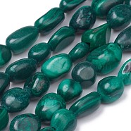 Natural Malachite Beads Strands, Nuggets, Tumbled Stone, 5~12x4~8x3~6mm, Hole: 0.8mm, about 61pcs/strand, 15.35 inch(39cm)(X-G-L493-42B)