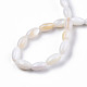 Eau douce naturelle de coquillage perles brins(SHEL-N026-212)-4