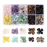 150G 10 Style Natural Gemstone Beads, Chip, 4~10x4~8x2~4mm, hole: 1mm, about 15g/style(G-FS0002-17)