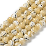 Natural Trochus Shell Beads Strands, Round, Goldenrod, 6~6.5mm, Hole: 0.5mm, about 63~64pcs/strand, 15.35''~15.55''(39~39.5cm)(BSHE-P033-03A)